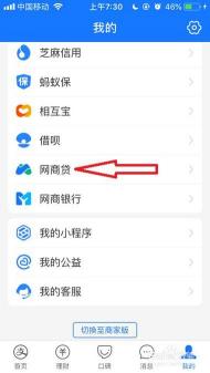 支付宝网商贷开通全攻略：从申请到成功借款的详细步骤