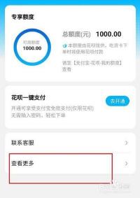 花呗分期后还有额度吗：恢复与专享额度的详解