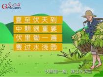 深入解读：有关节气的谚语与农耕智慧