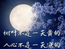 释放情绪：那些让人不高兴的说说，如何面对并寻找快乐？