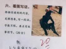即使困难重重，二年级学生也能勇敢造句——简单易懂的学习之旅