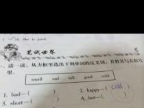 高兴反义词大揭秘：探寻情绪的反面世界