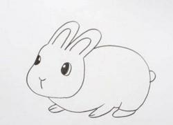 小兔子图片简笔画教程：轻松掌握绘制可爱小兔的技巧