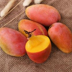 芒果的功效与作用禁忌：夏日果王的美味与健康之道