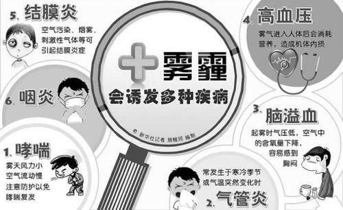 蛞蝓对人体有什么危害？了解其潜在风险与影响