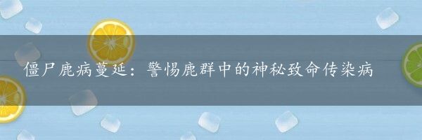 僵尸鹿病蔓延：警惕鹿群中的神秘致命传染病