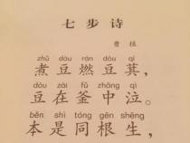 《七步诗》曹植：原文朗读，感受古诗魅力