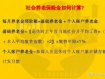 养老保险是什么：解读社会基本养老保险制度
