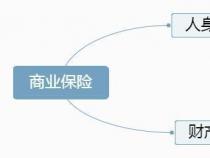 社保贷款怎样贷？一篇文章带你了解全流程