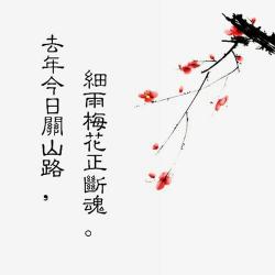 王安石笔下的梅花赞歌：坚韧与高贵的诗意呈现