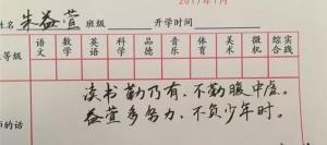 小学二年级评语大全集：助力学生成长的精准反馈