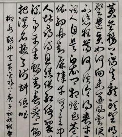 鹤冲天：金榜失意，浅斟低唱醉花间