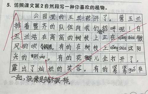 描写玉兰花的作文：春之使者与校园中的纯净回忆