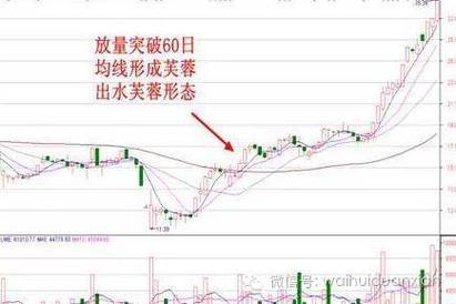 出水芙蓉：股票技术图形的含义及投资决策的重要性