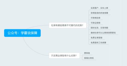 商业险详解：定义、运营与保障的全面解读