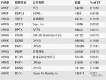 IU在股票代码中的含义解析