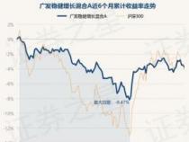 660002基金解析：稳健增值的债券型基金选择