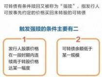 转债申购含义解析：投资者参与转债发行的操作指南