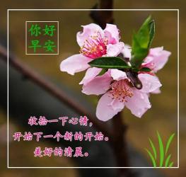 三篇精选欢迎语，让你的社交场合更温馨友好