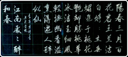 玉兰花的诗句古诗词：美丽与情感的完美融合